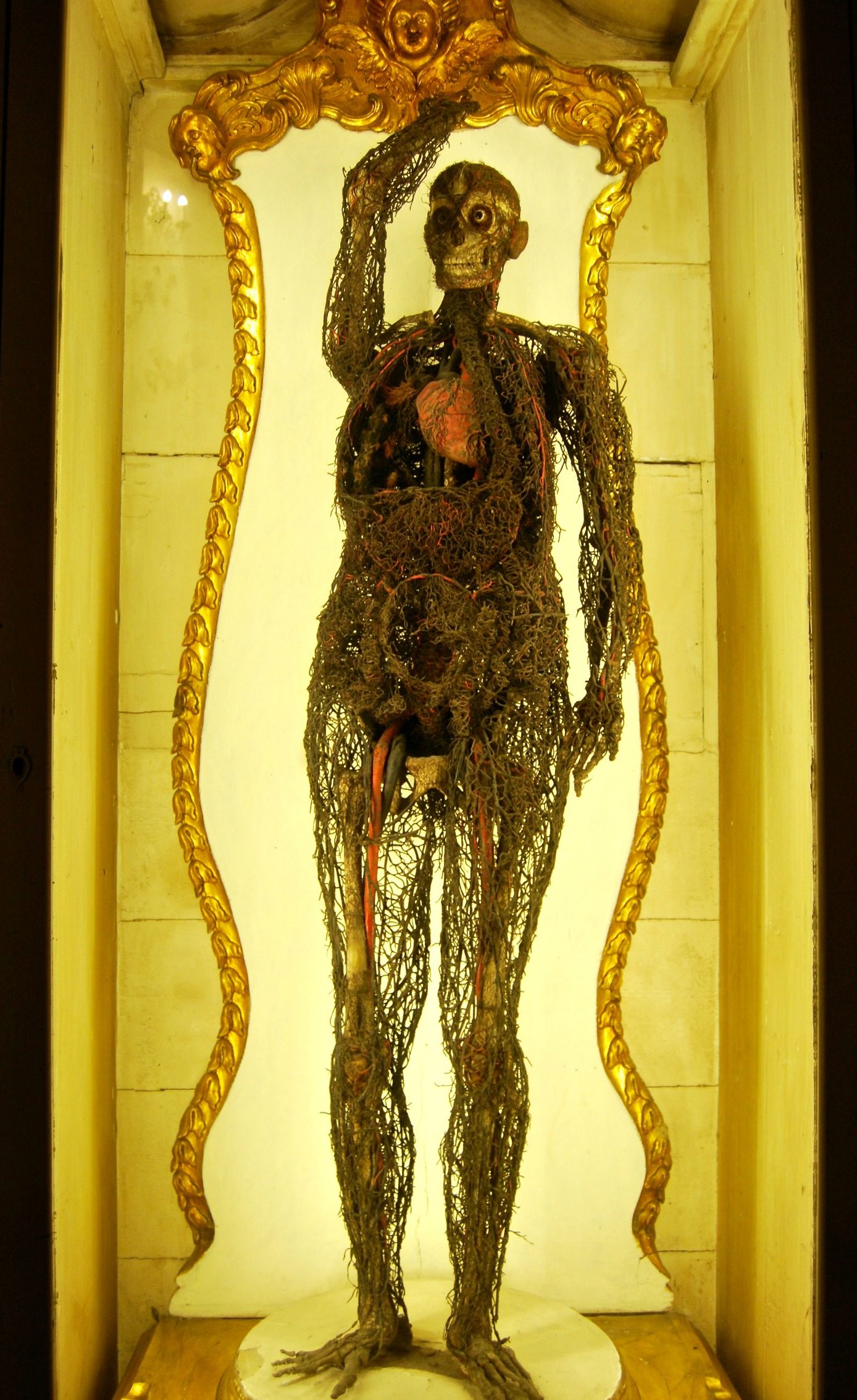 Woman (Anatomical Machines).jpg